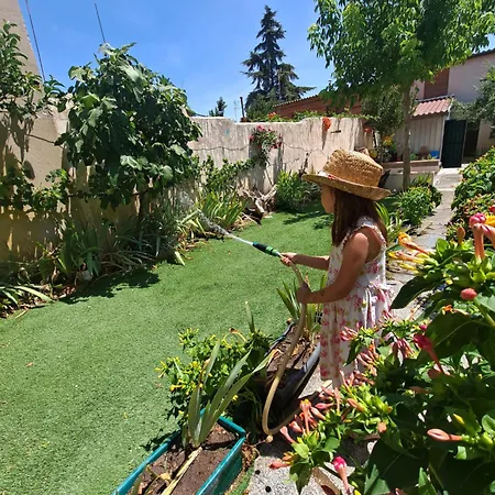Casa Con Jardin A 5' De Aranda De Duero