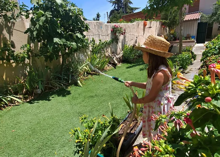 Casa Con Jardin A 5' De Aranda De Duero